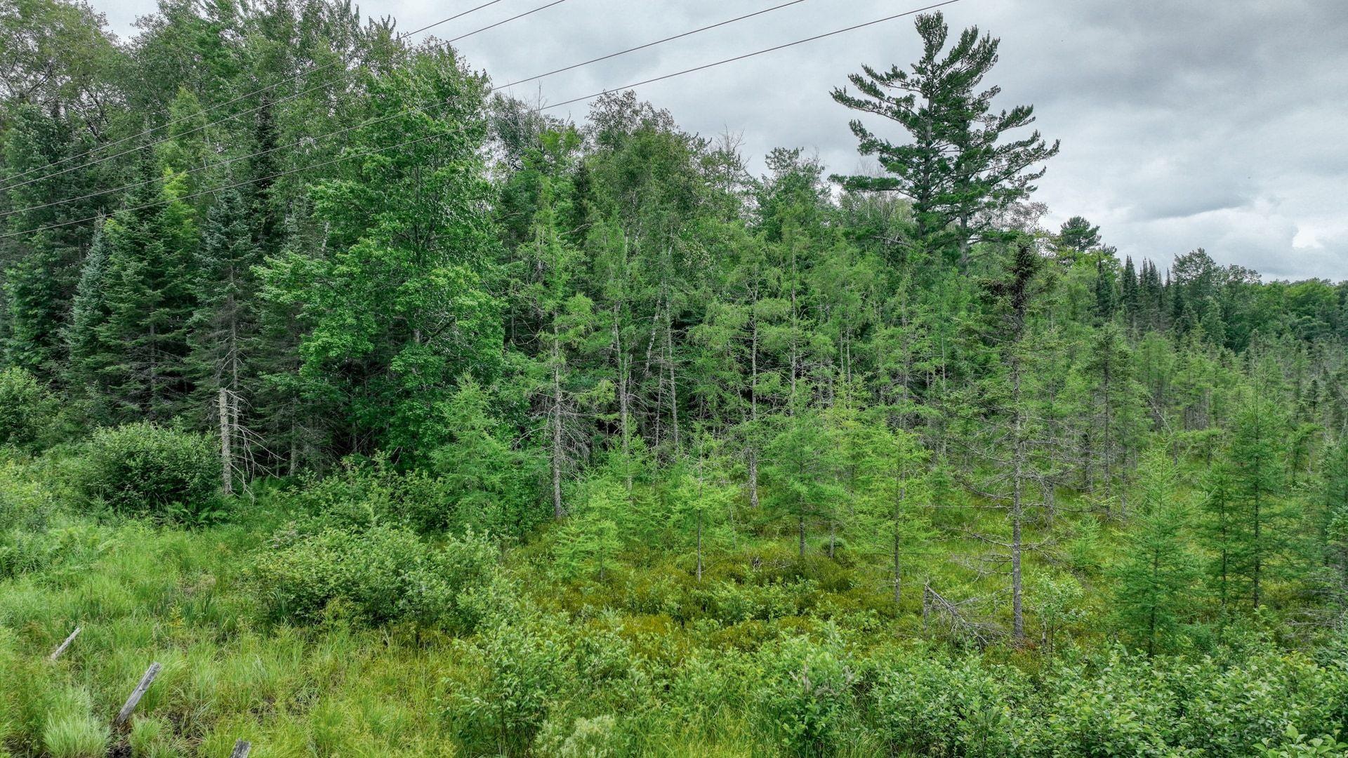 013_dji_0165_13_149.jpg