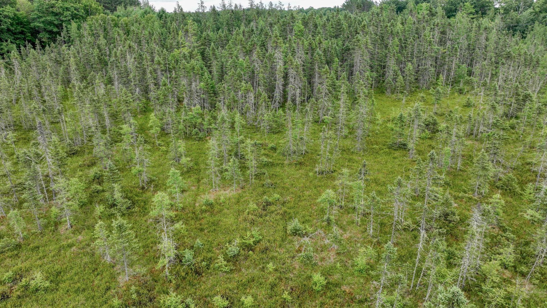 010_dji_0150_10_965.jpg