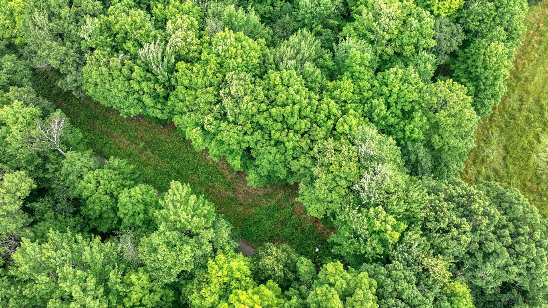 008_dji_0140_8_995.jpg