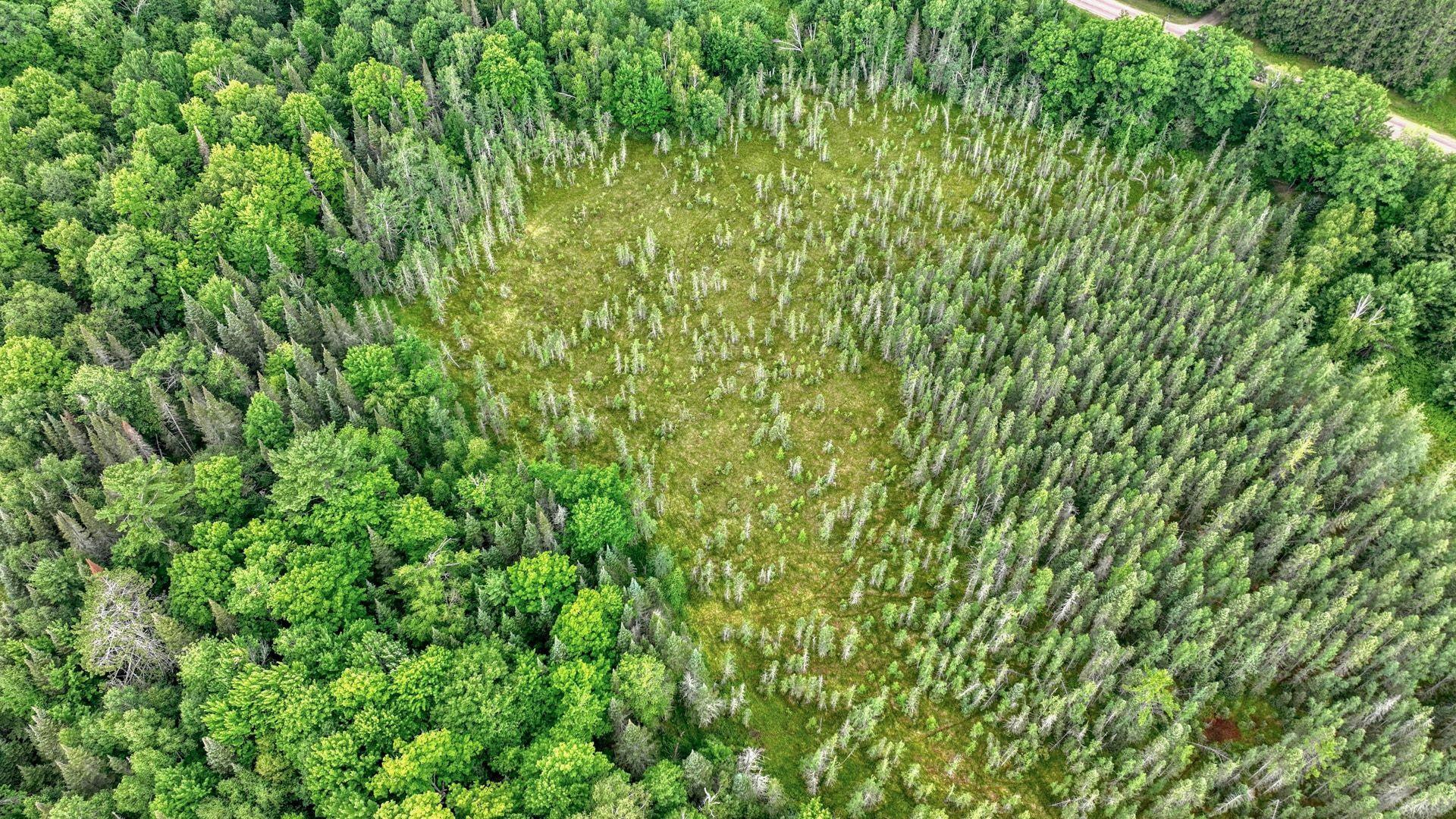 006_dji_0130_6_440.jpg
