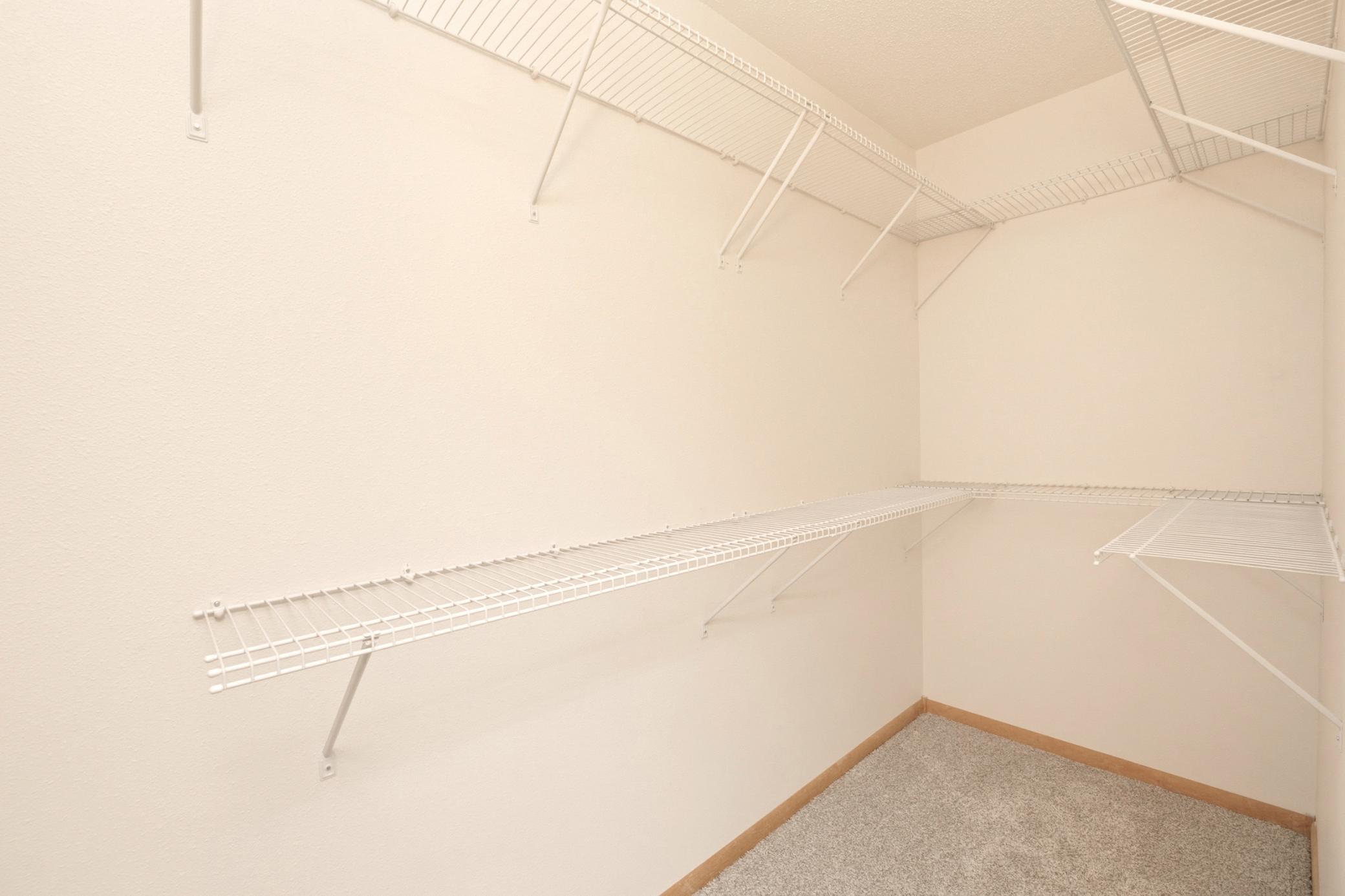 Primary Bedroom Closet