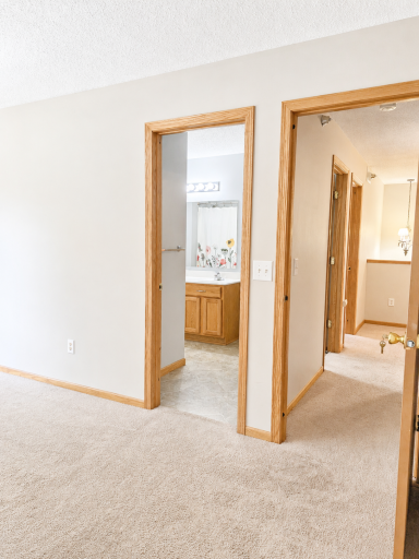 424 Frederick Circle, 606, Hastings, MN 55033