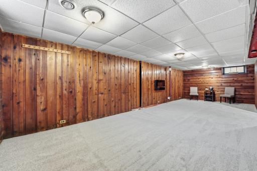 New carpet in lower level
