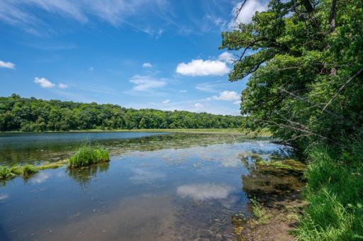 The Little Long Lake basin, is a one of a kind, esker created ecosystem.