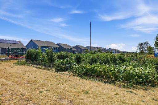 Calling all garden lovers! Would a shared community garden be something you'd enjoy being a part of?