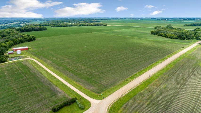 aerial 2.jpg