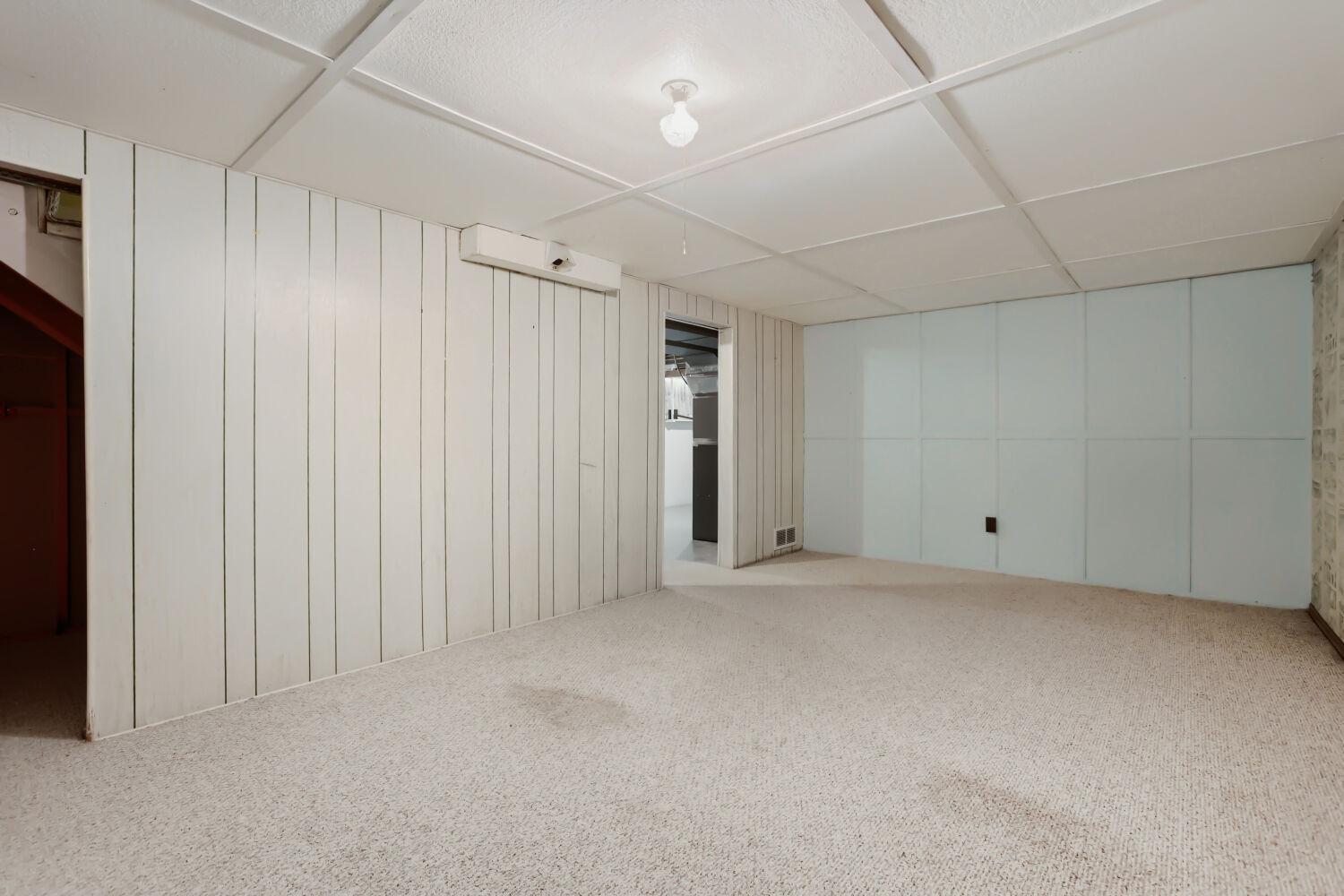 Basement Family Room/Flex Room