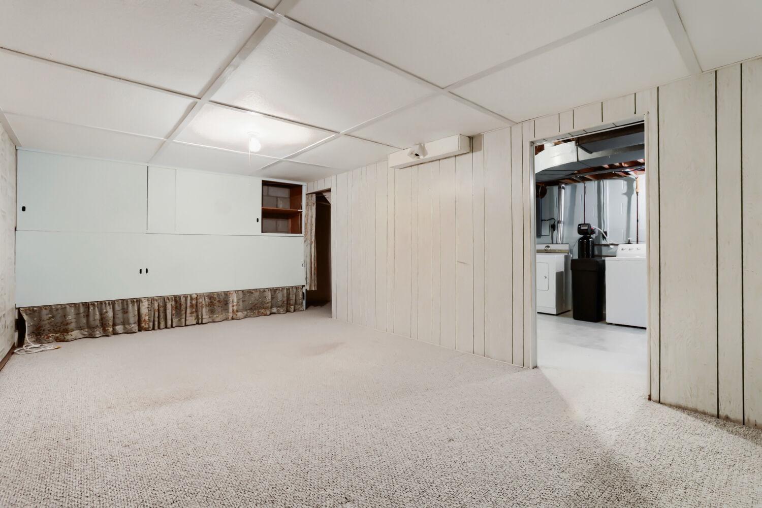 Basement Family Room/Flex Room