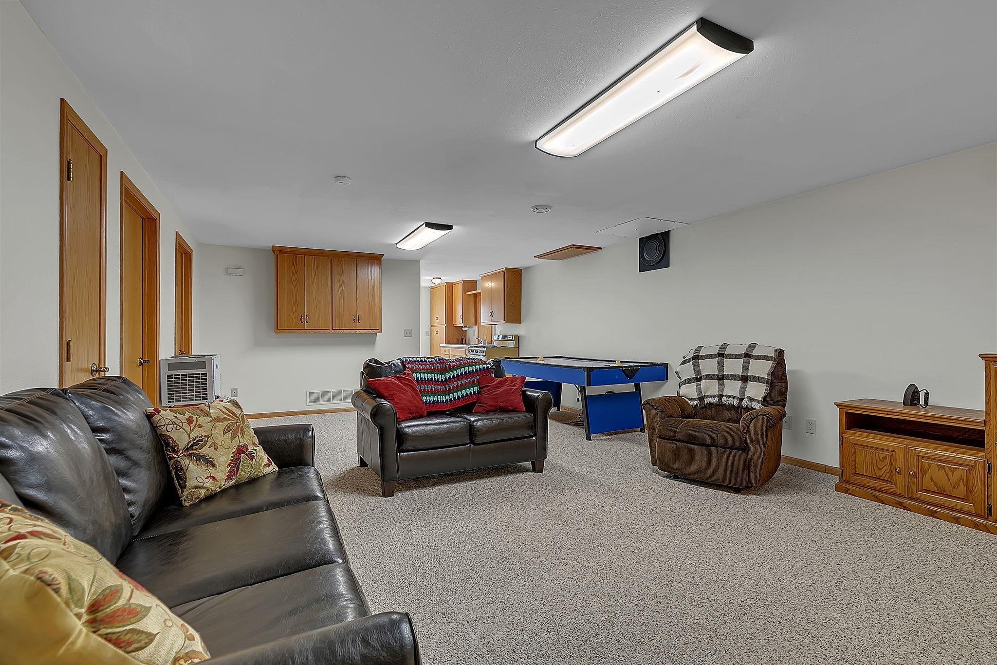 Lower level family room