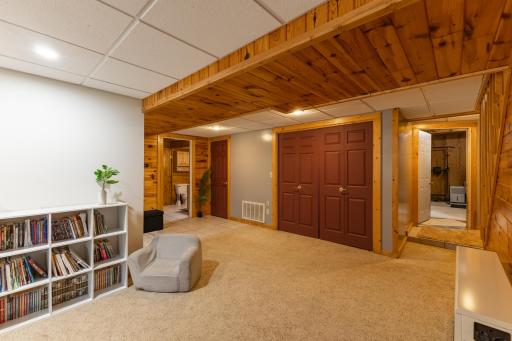 Lower Family Room