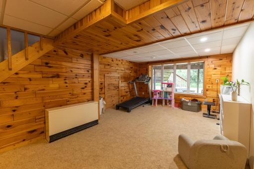 Lower Family Room