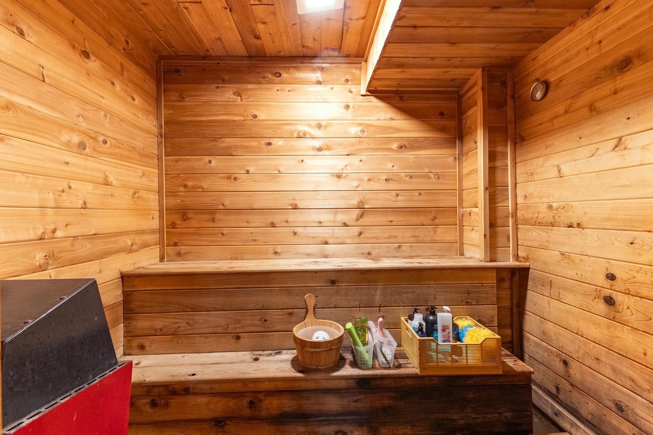 Electric Sauna
