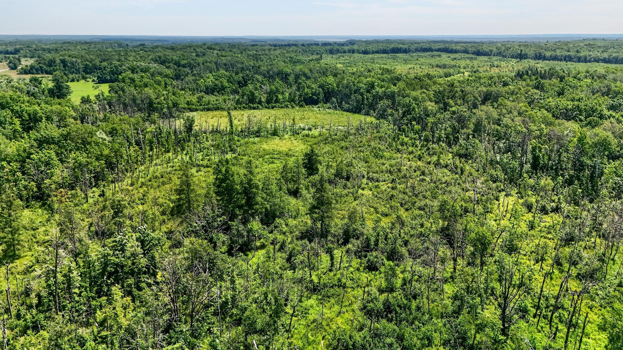 42774SandRiverRd-DronePhotos-9.jpg