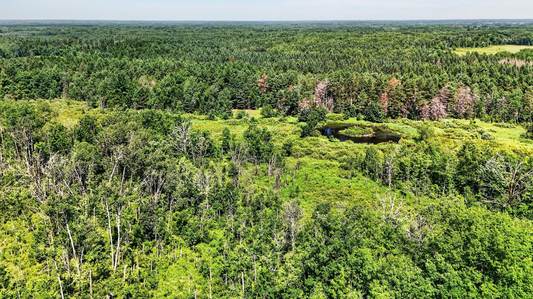 42774SandRiverRd-DronePhotos-7.jpg