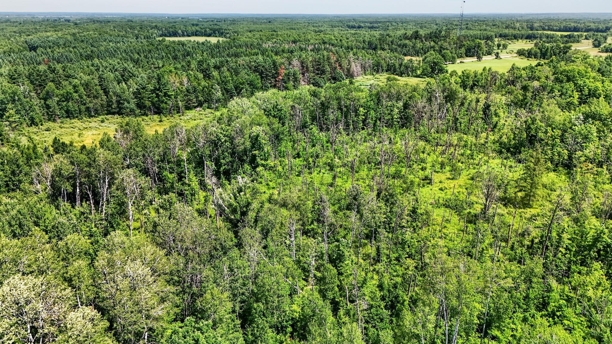 42774SandRiverRd-DronePhotos-11.jpg