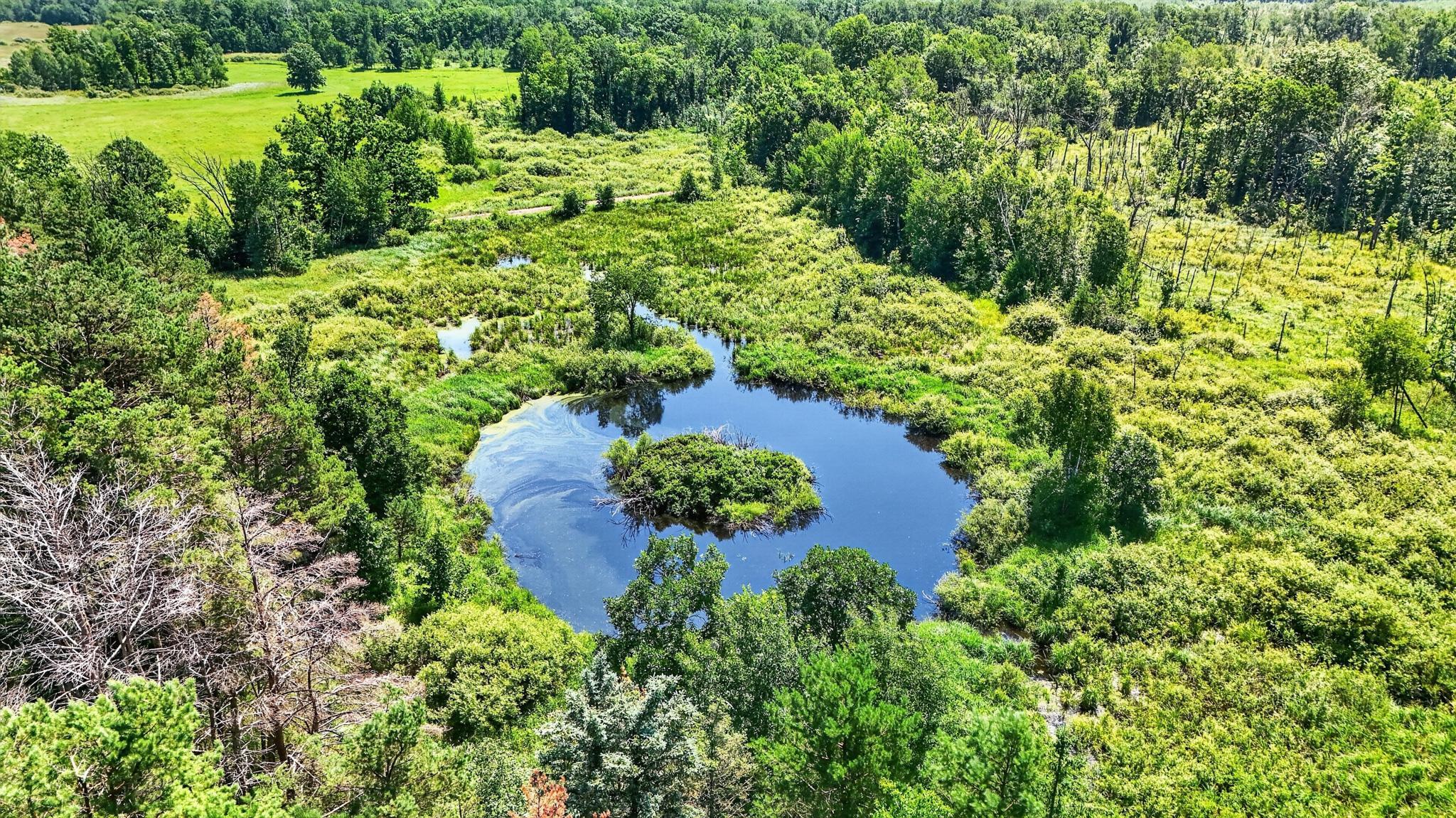 42774SandRiverRd-DronePhotos-16.jpg
