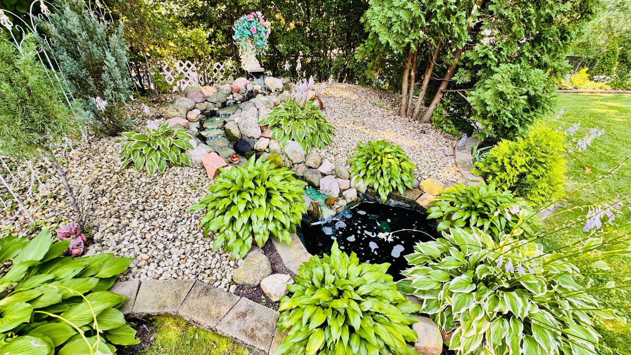 Pond.jpg