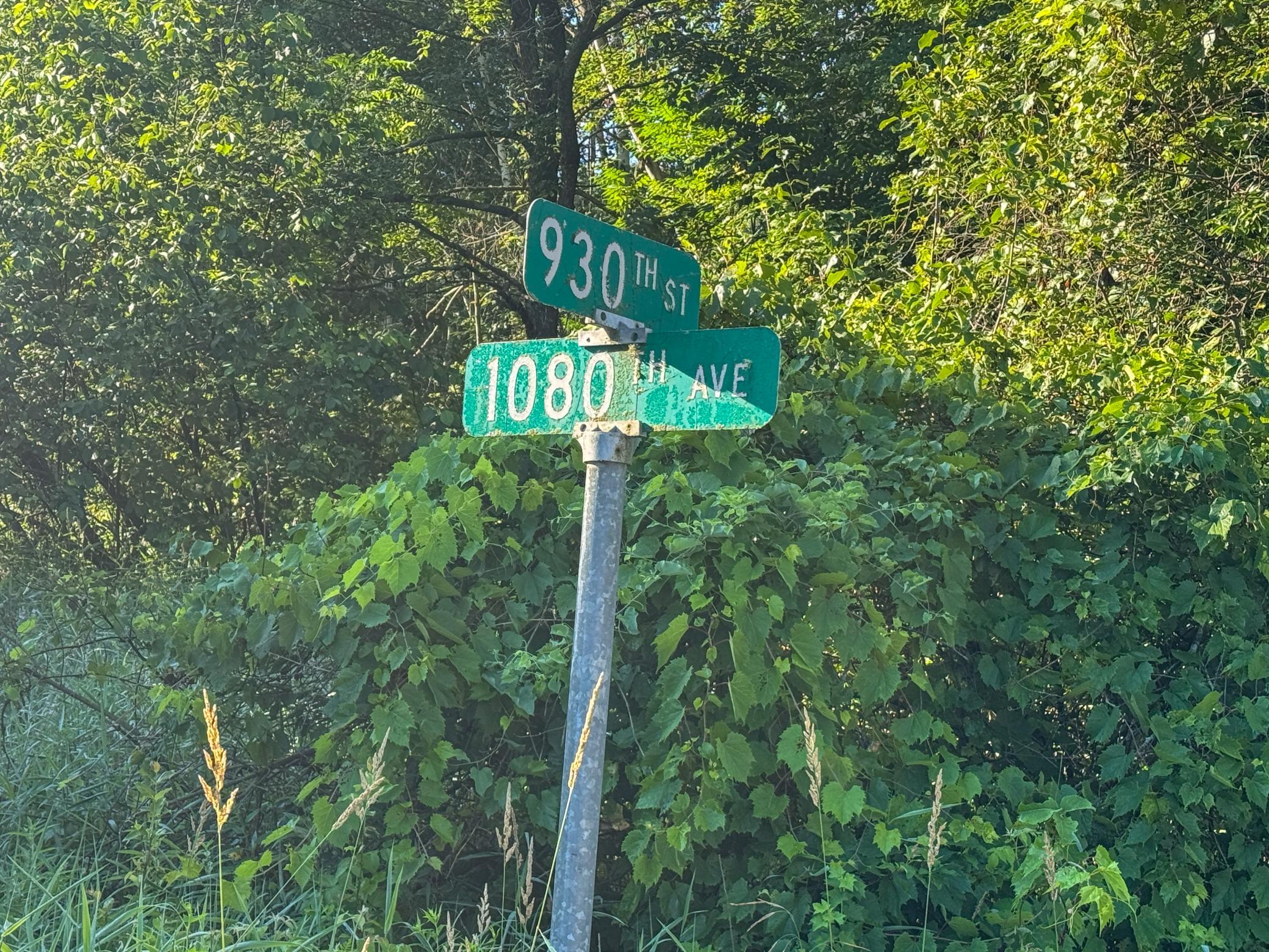 57 B.jpg
