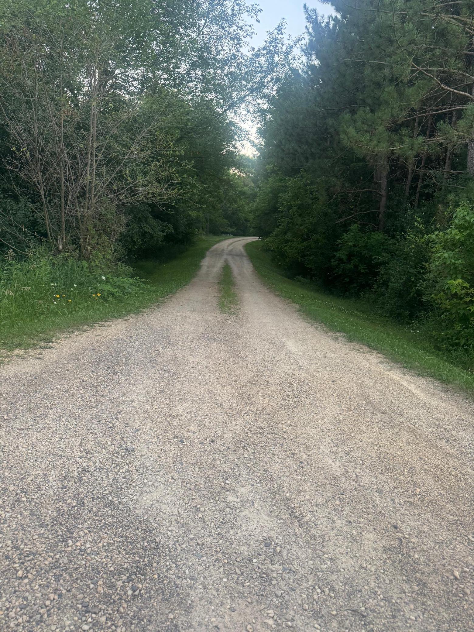 Goose Lake Rd Driveway.jpeg
