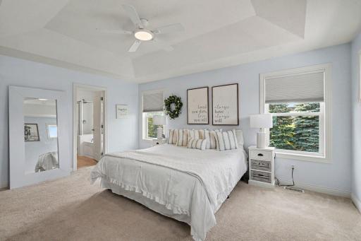Primary Bedroom has a tray-vault ceiling with a fan.