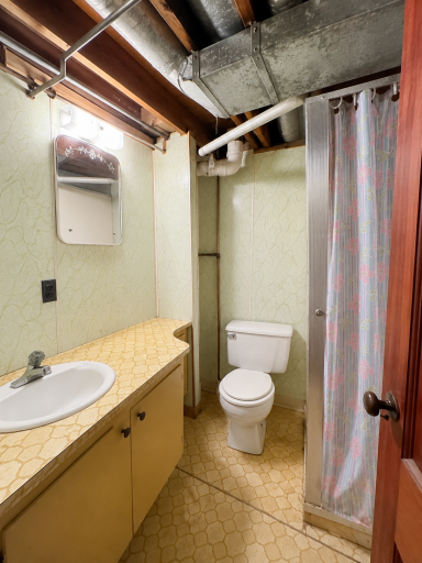 Basement 3/4 Bathroom