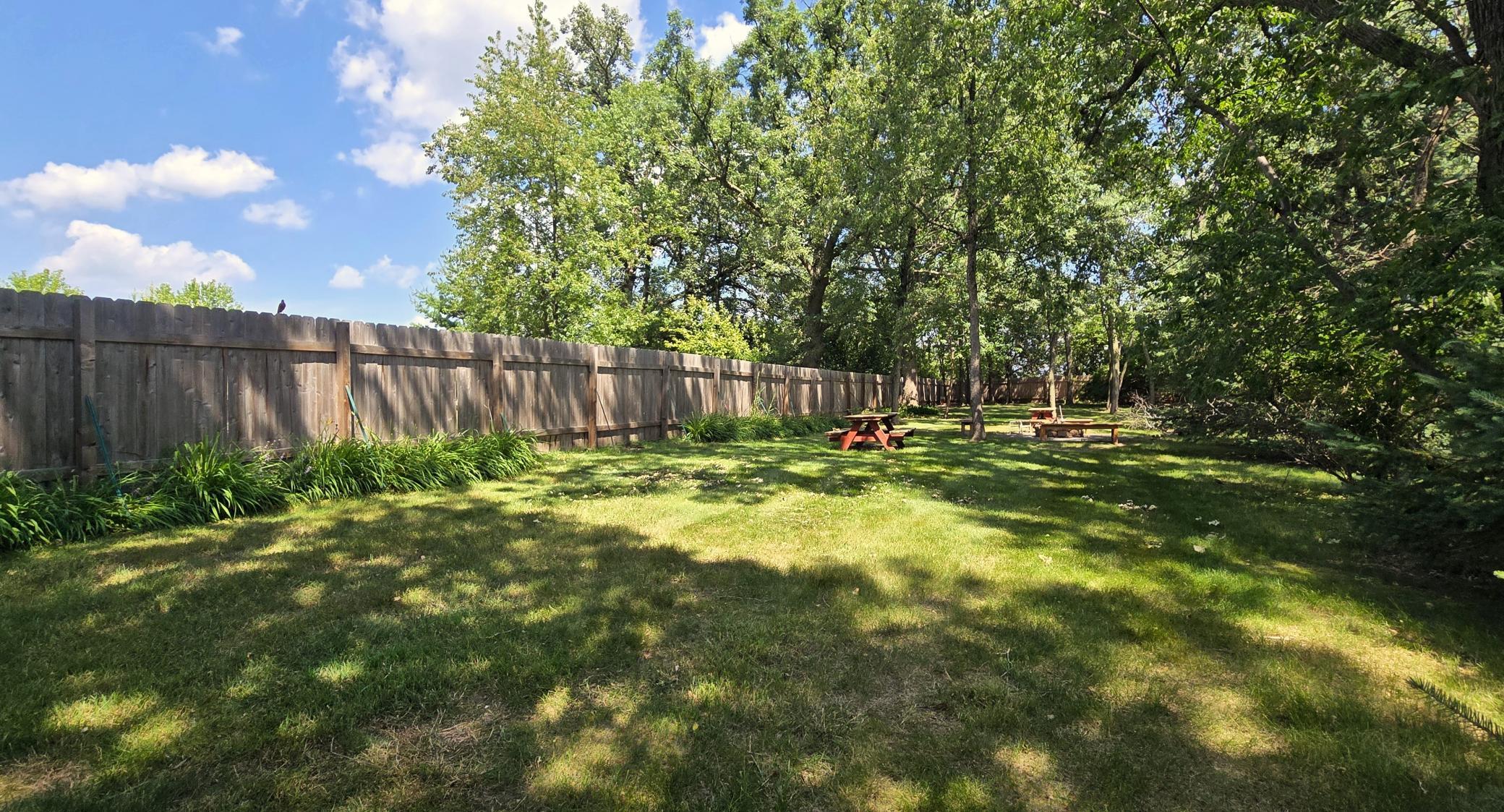 Common Yard & Picnic Area