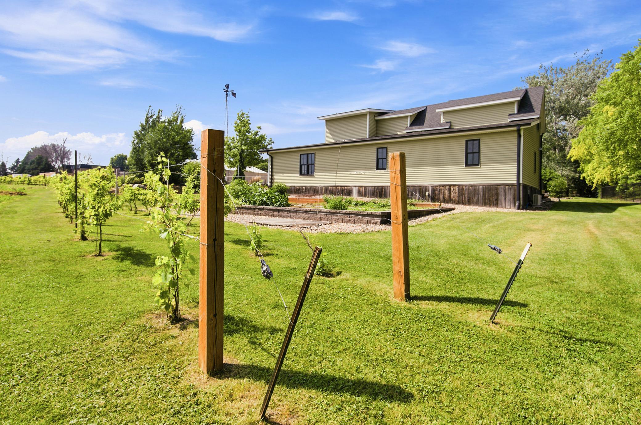 The sprawling property boasts an exceptional backyard setup complete with a large raised-bed garden and its own private, neatly trellised hobby vineyard.