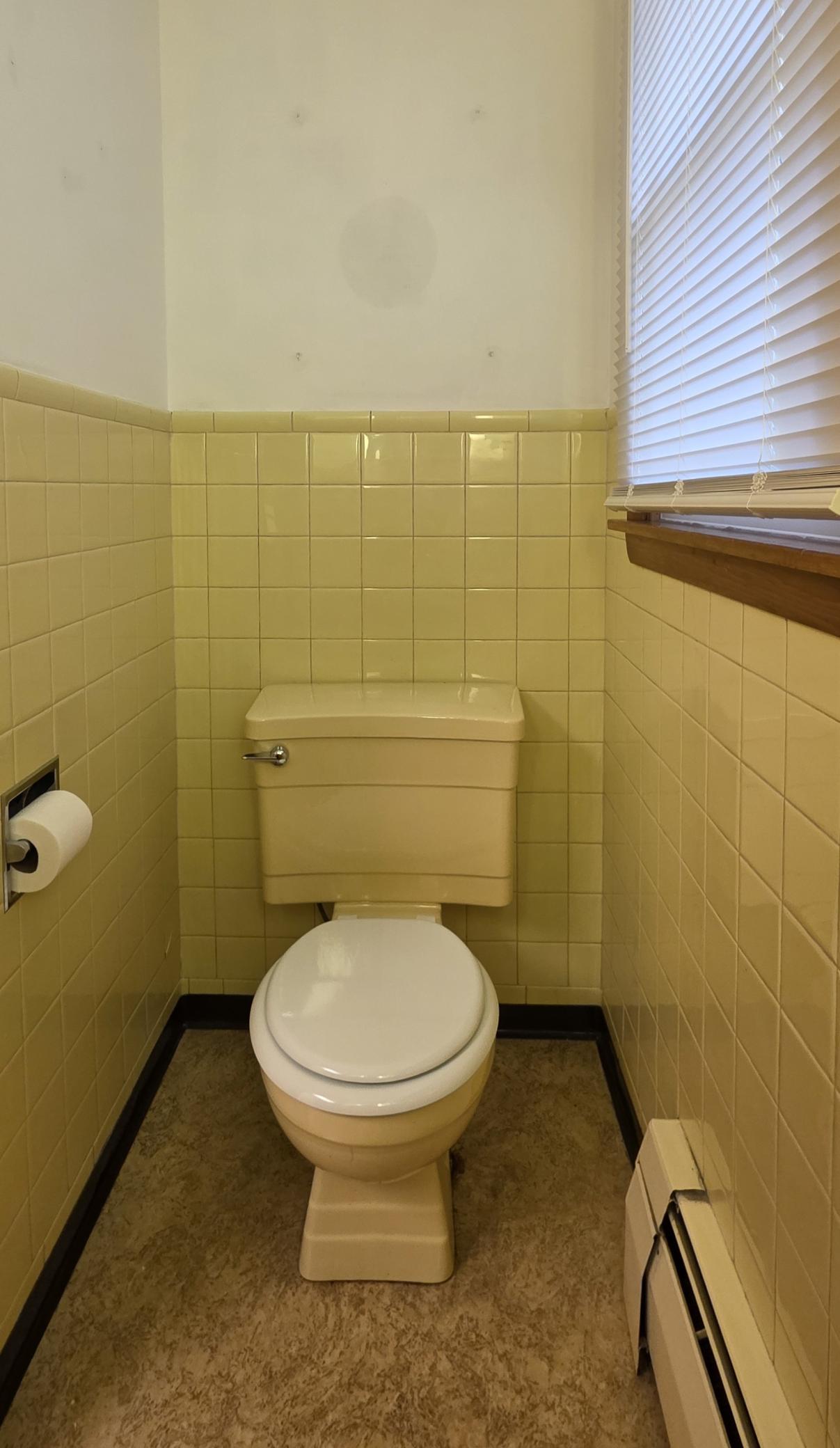 37673.jpg