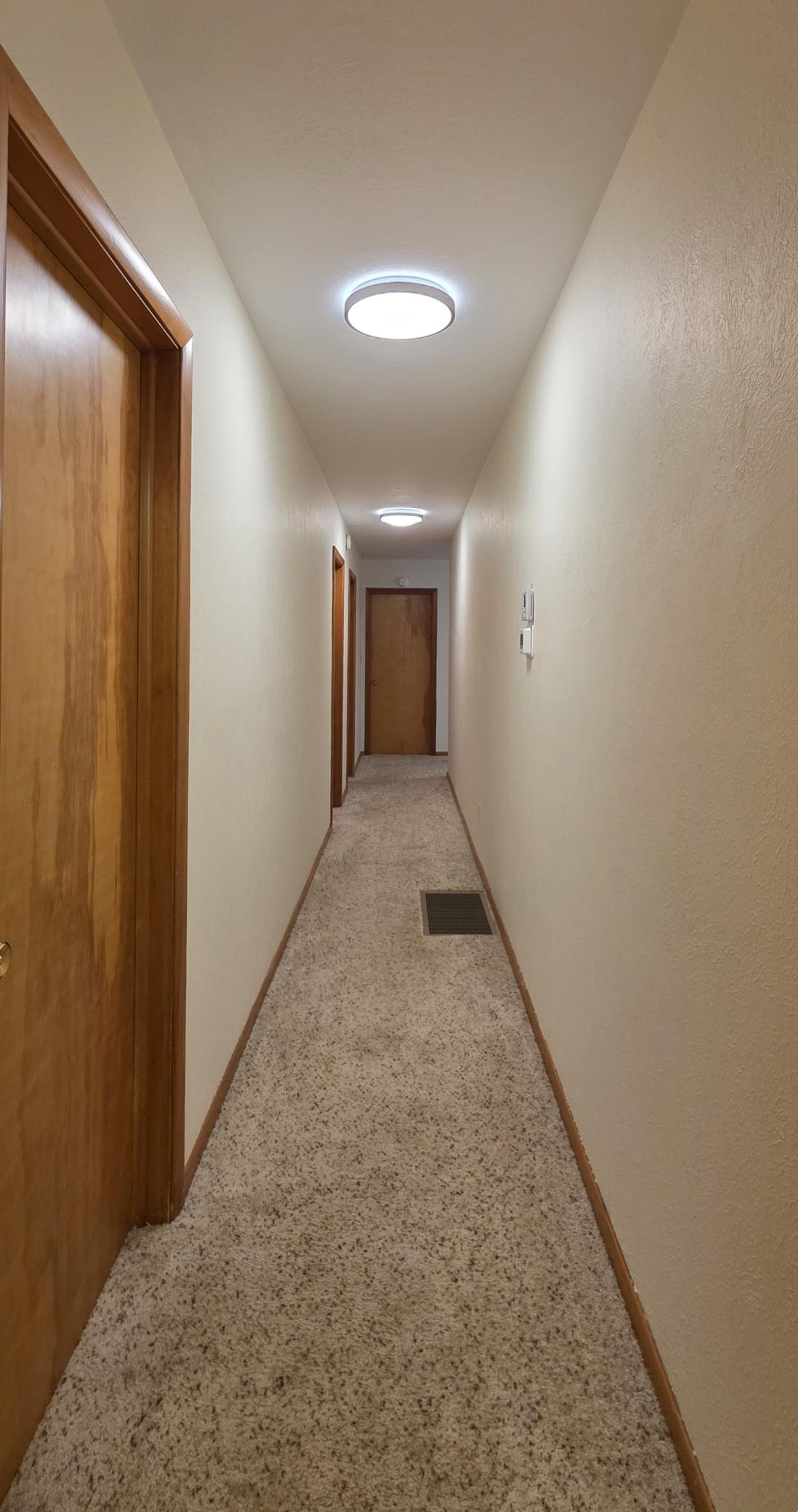 37669.jpg