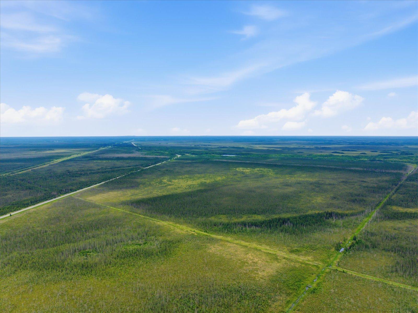 01-DJI_20260701110217_0039_D.jpg
