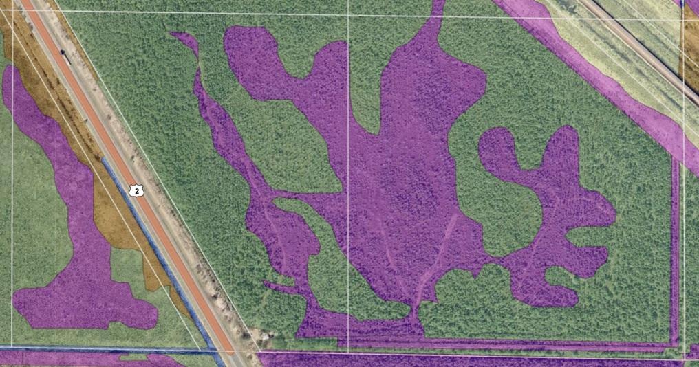 GIS MAP Wetland Dileation.jpg