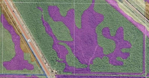 GIS MAP Wetland Dileation.jpg