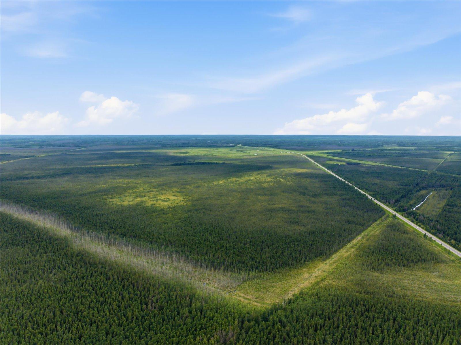 02-DJI_20260701105552_0024_D.jpg