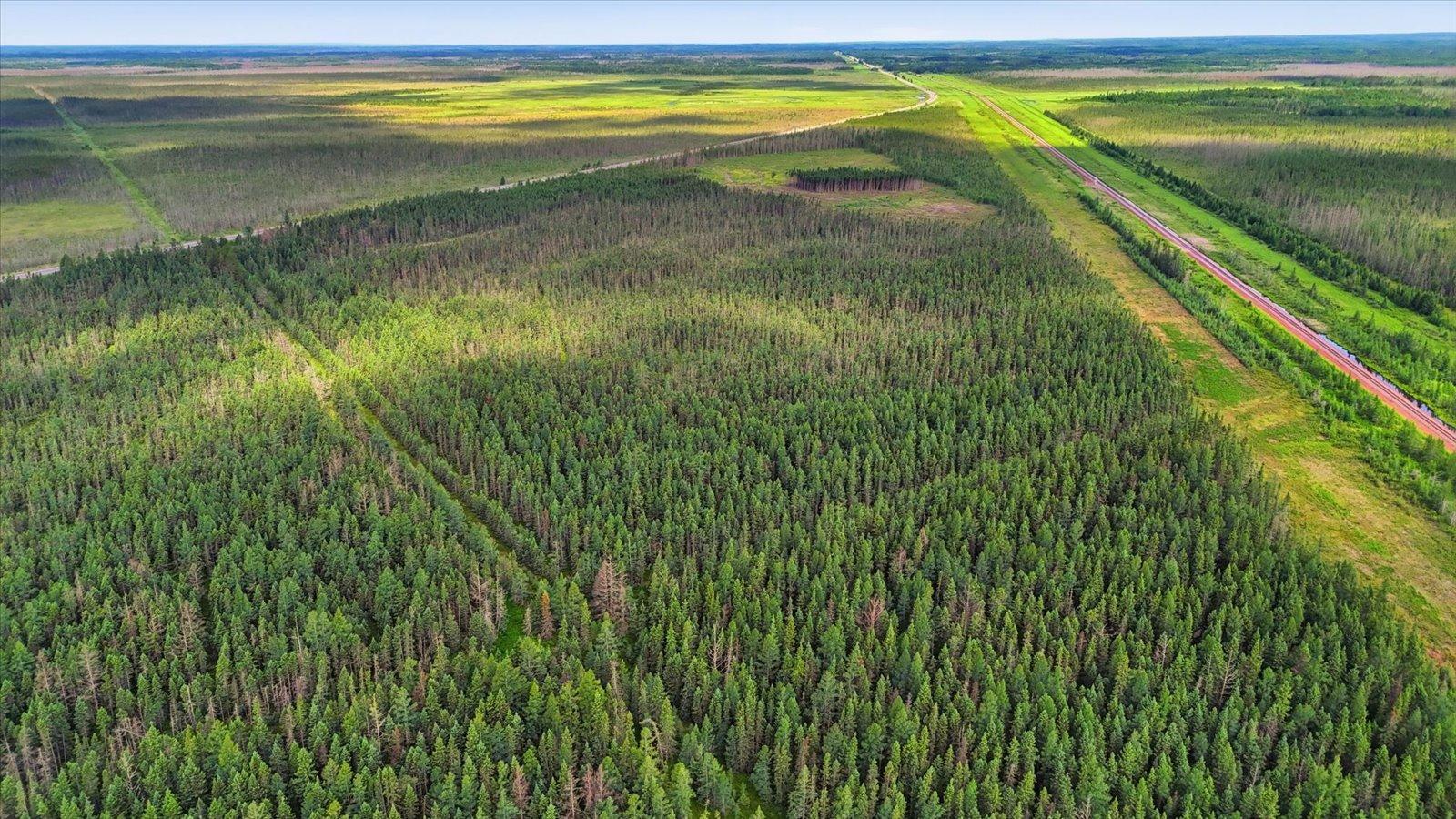 12-DJI_20260704101915_0417_D.jpg