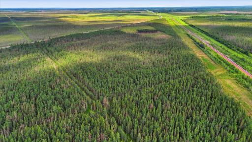 12-DJI_20260704101915_0417_D.jpg
