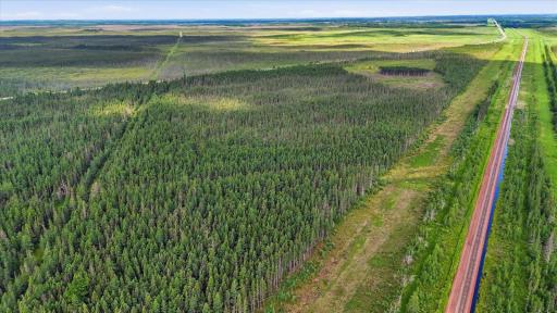 09-DJI_20260704101850_0407_D.jpg