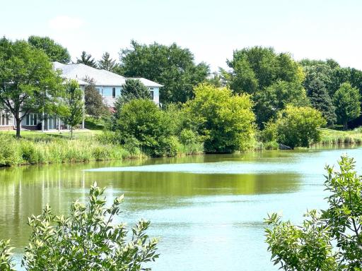 15157 Crestone Circle, Rosemount, MN 55068