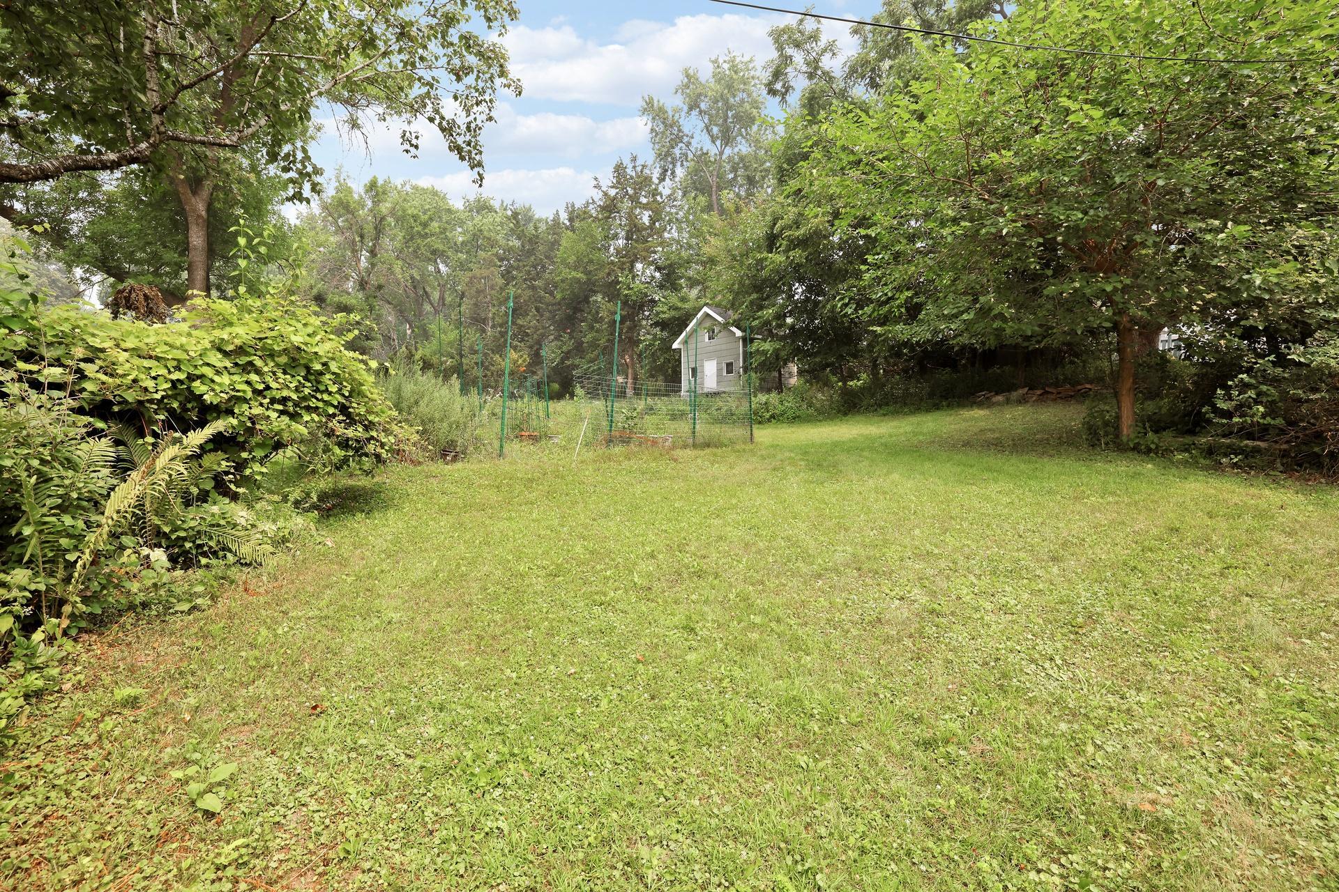Photo 45