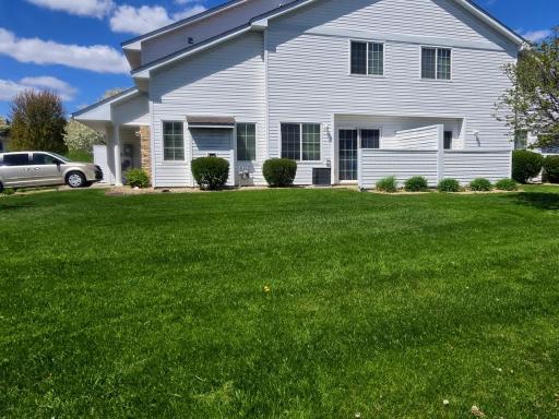 Side yard2.jpg