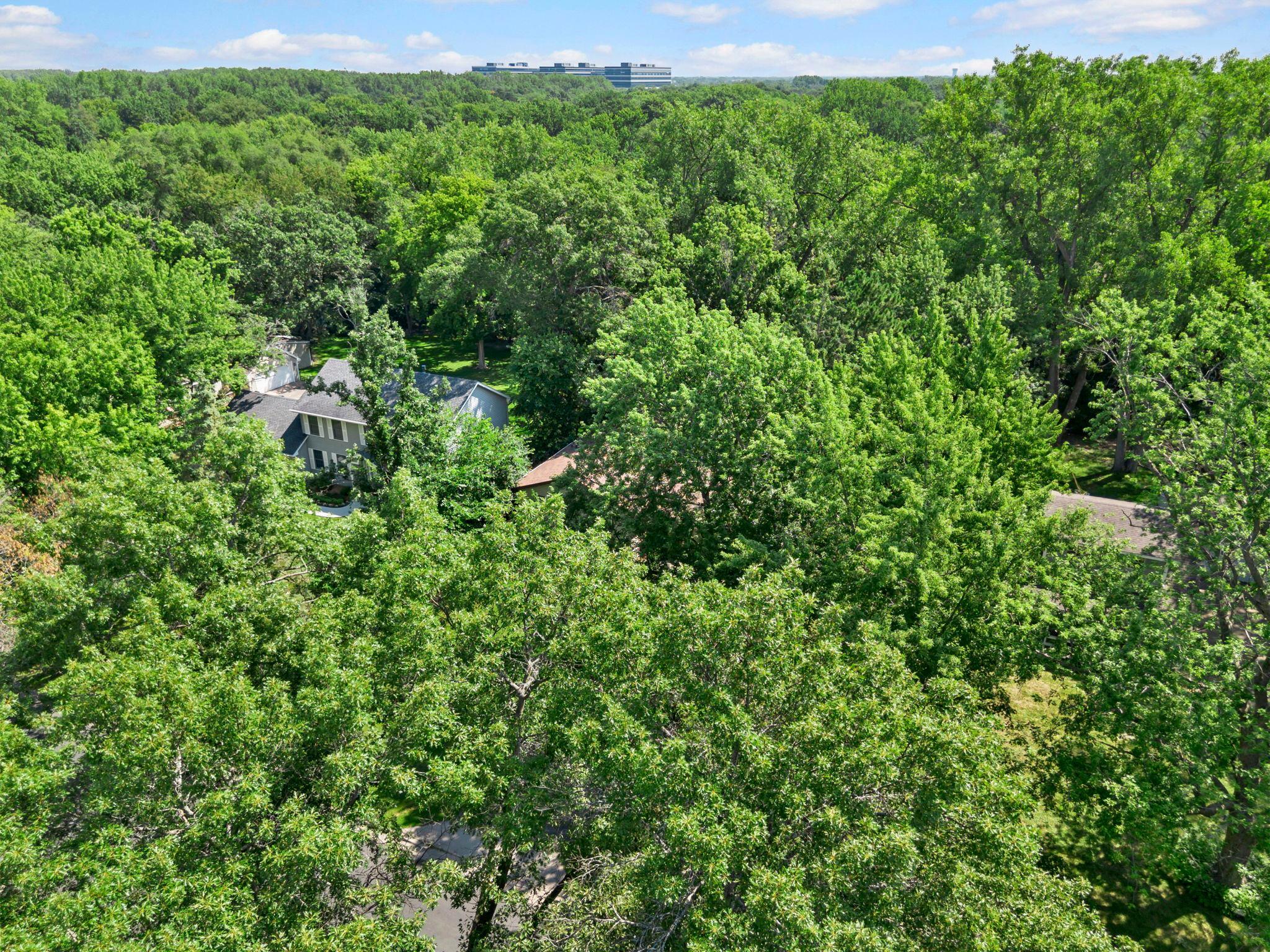 3-web-or-mls-7989 Eastwood Rd-266.jpg