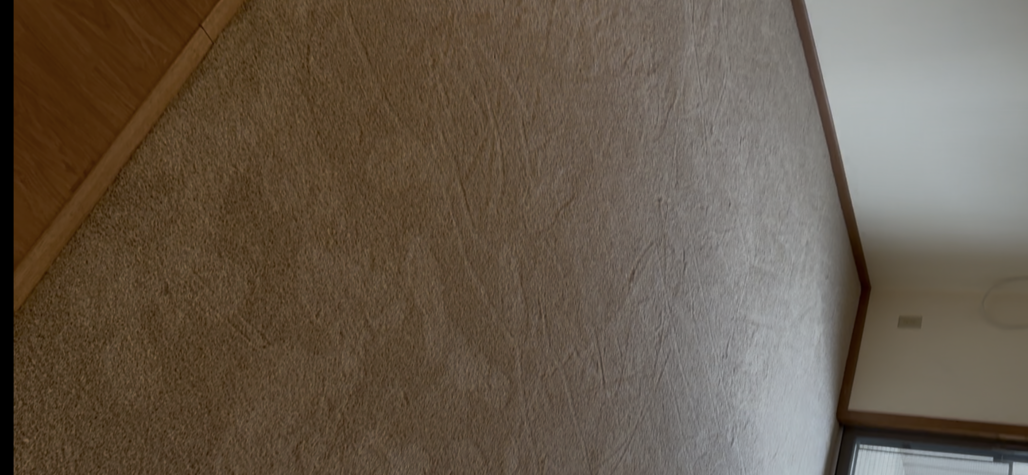 New Carpet.PNG