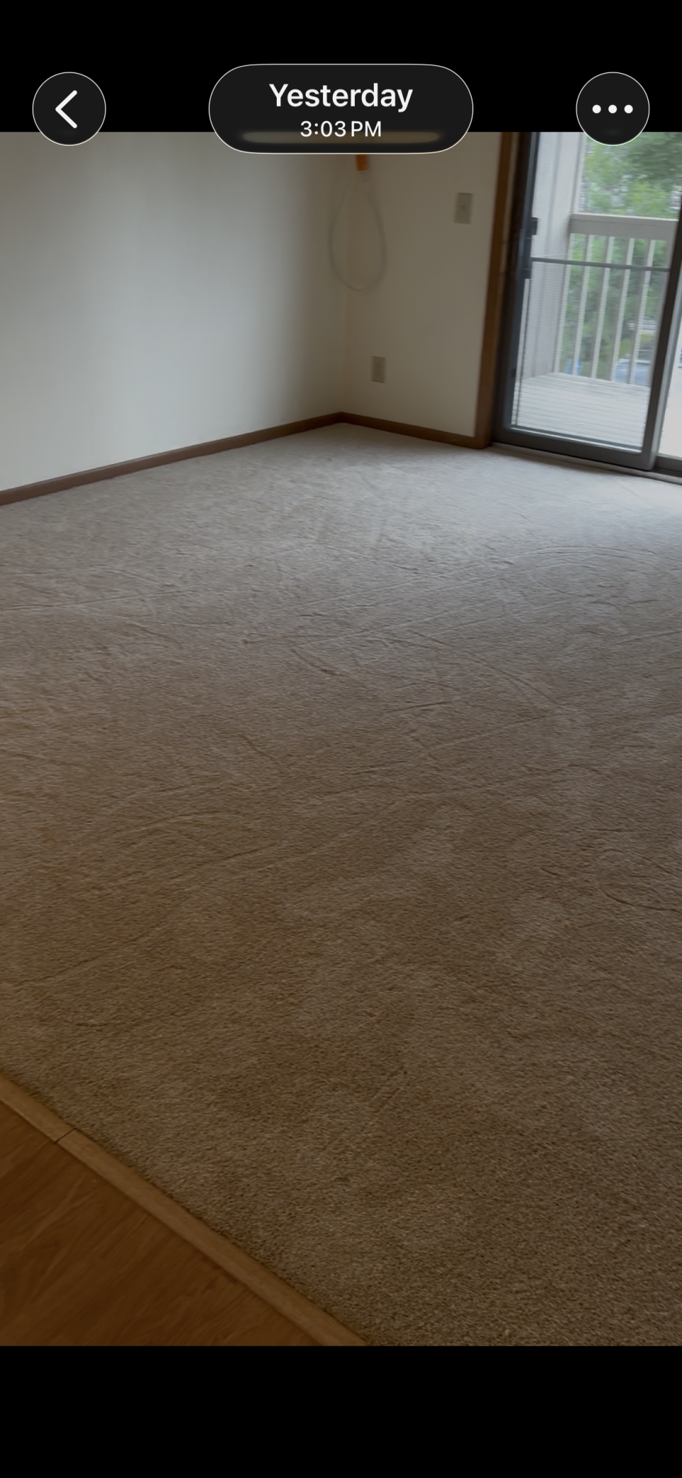 Carpet 2.PNG