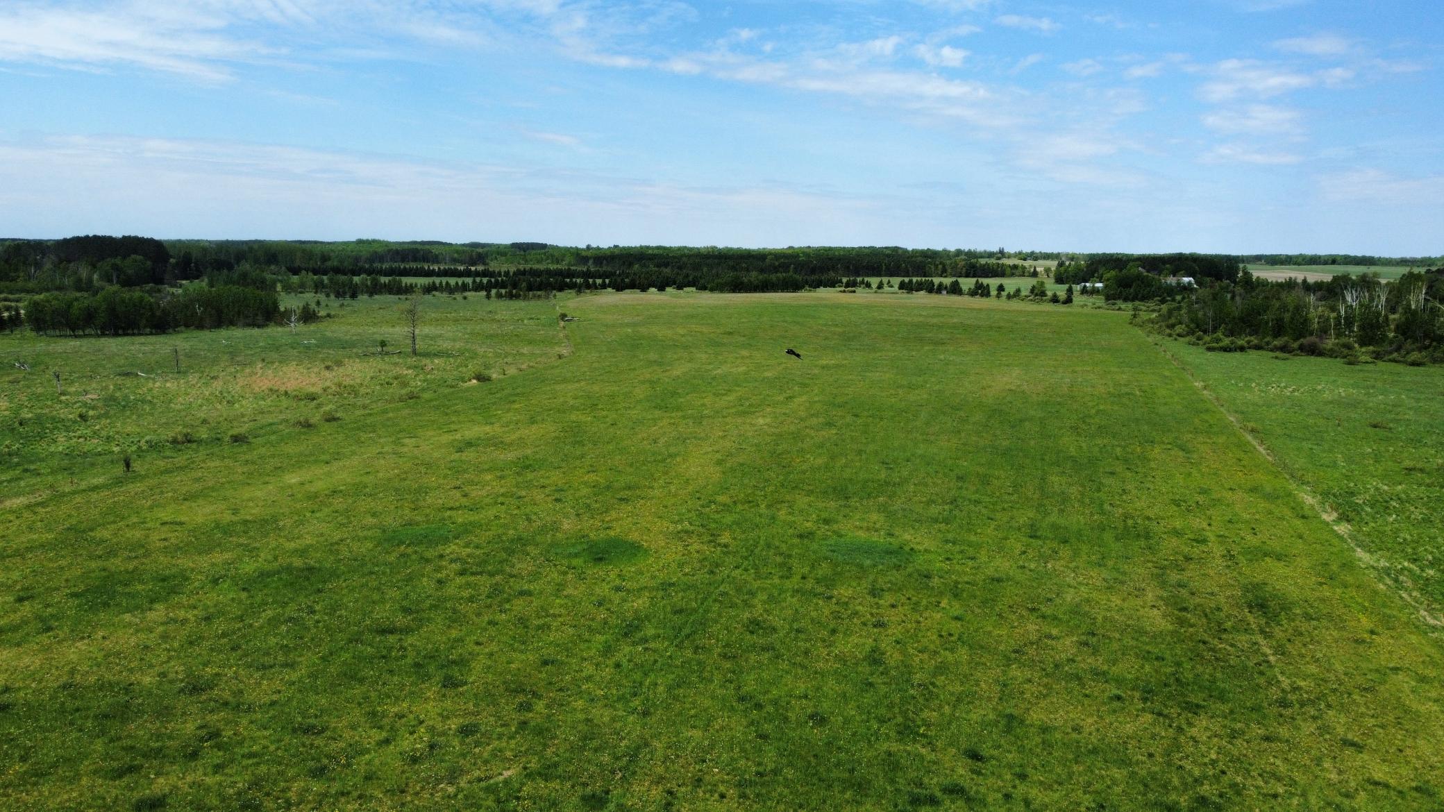 dji_fly_20260531_123436_997_1780248885054_photo_optimized.jpg