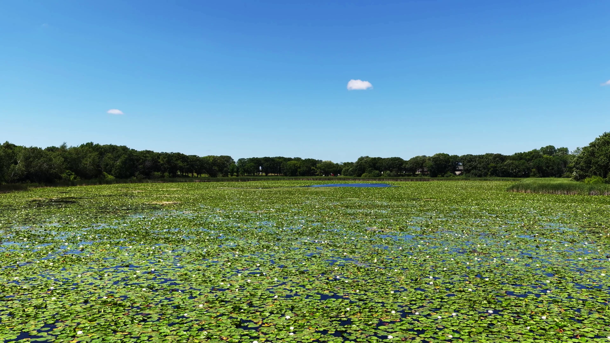 7 Potential lots backing up Blacks Lake.