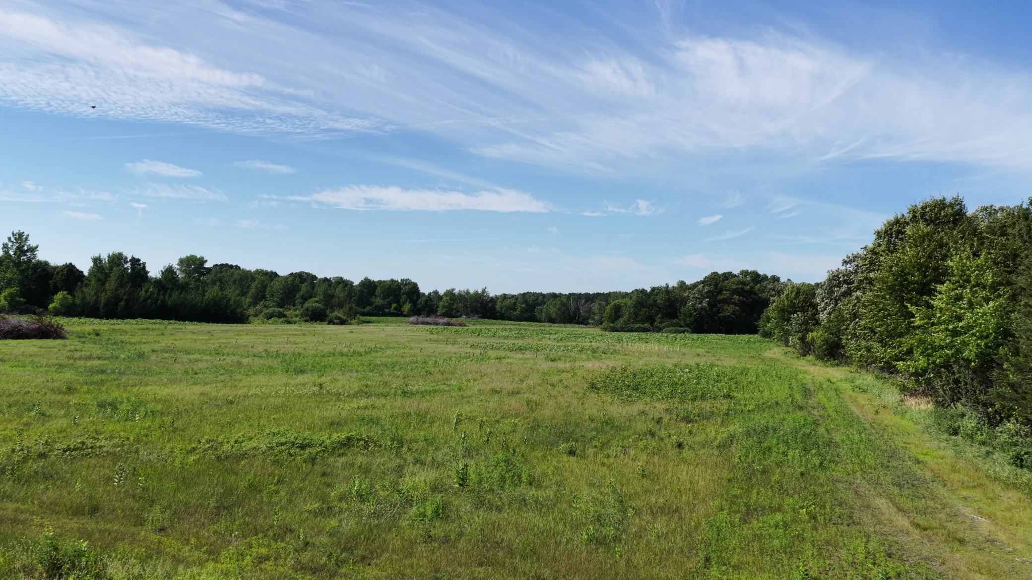 The main section of site has already been Deforested.