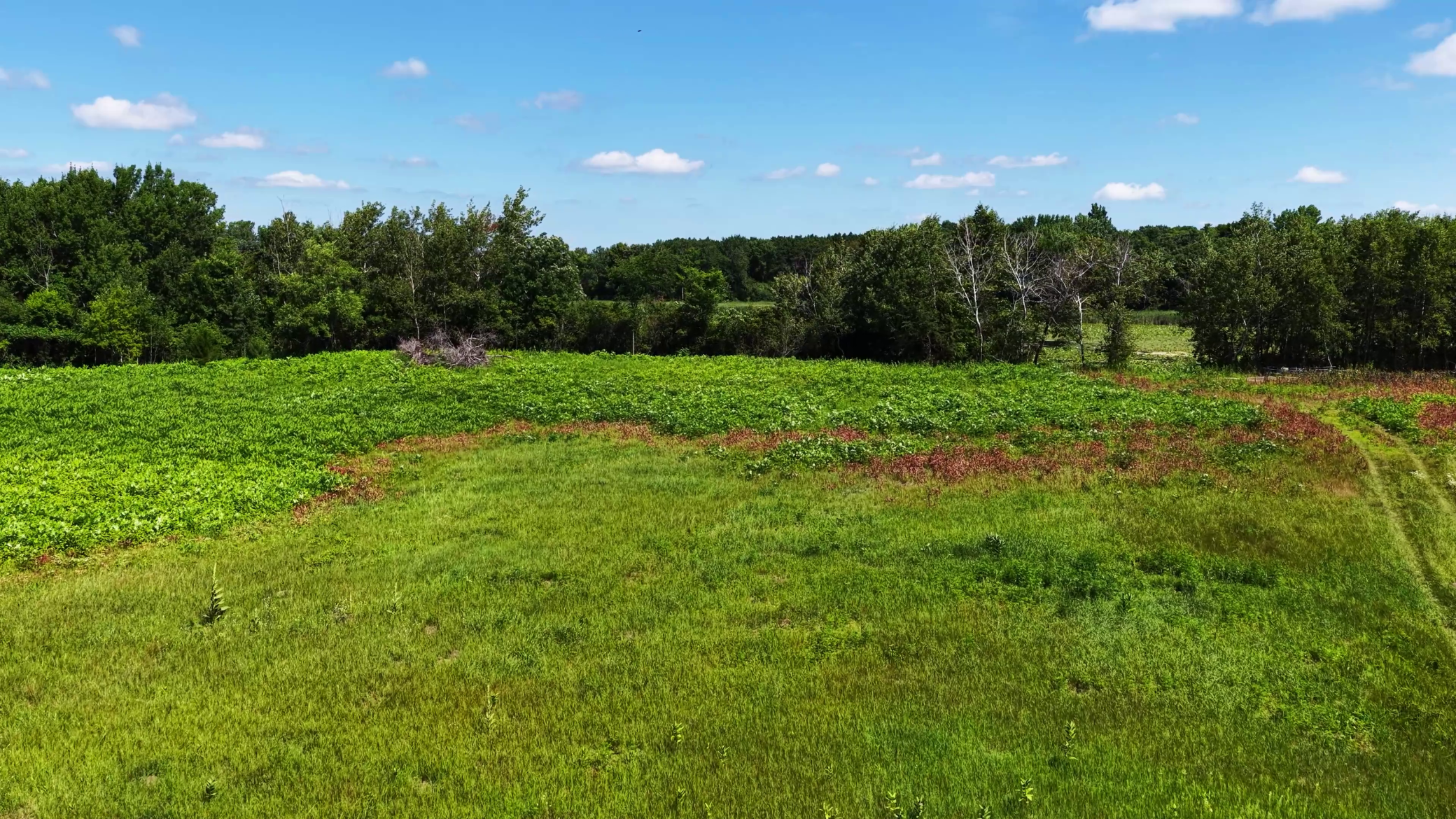 Land Ready for development or Build your Dream Home on Acreage!