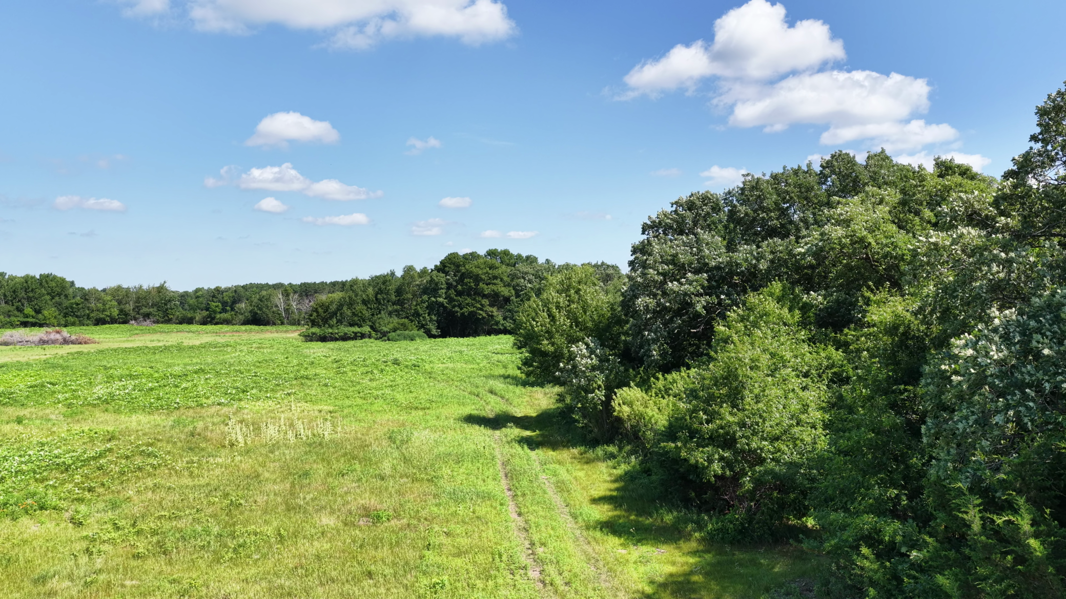 View Looking North along east side of Property.