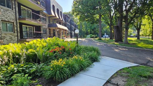 Beautiful garden/landscaping