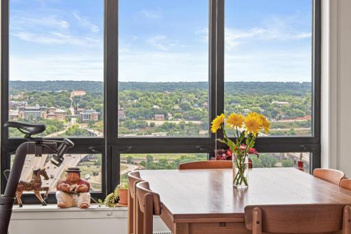 168 6th Street E, 3205, Saint Paul, MN 55101