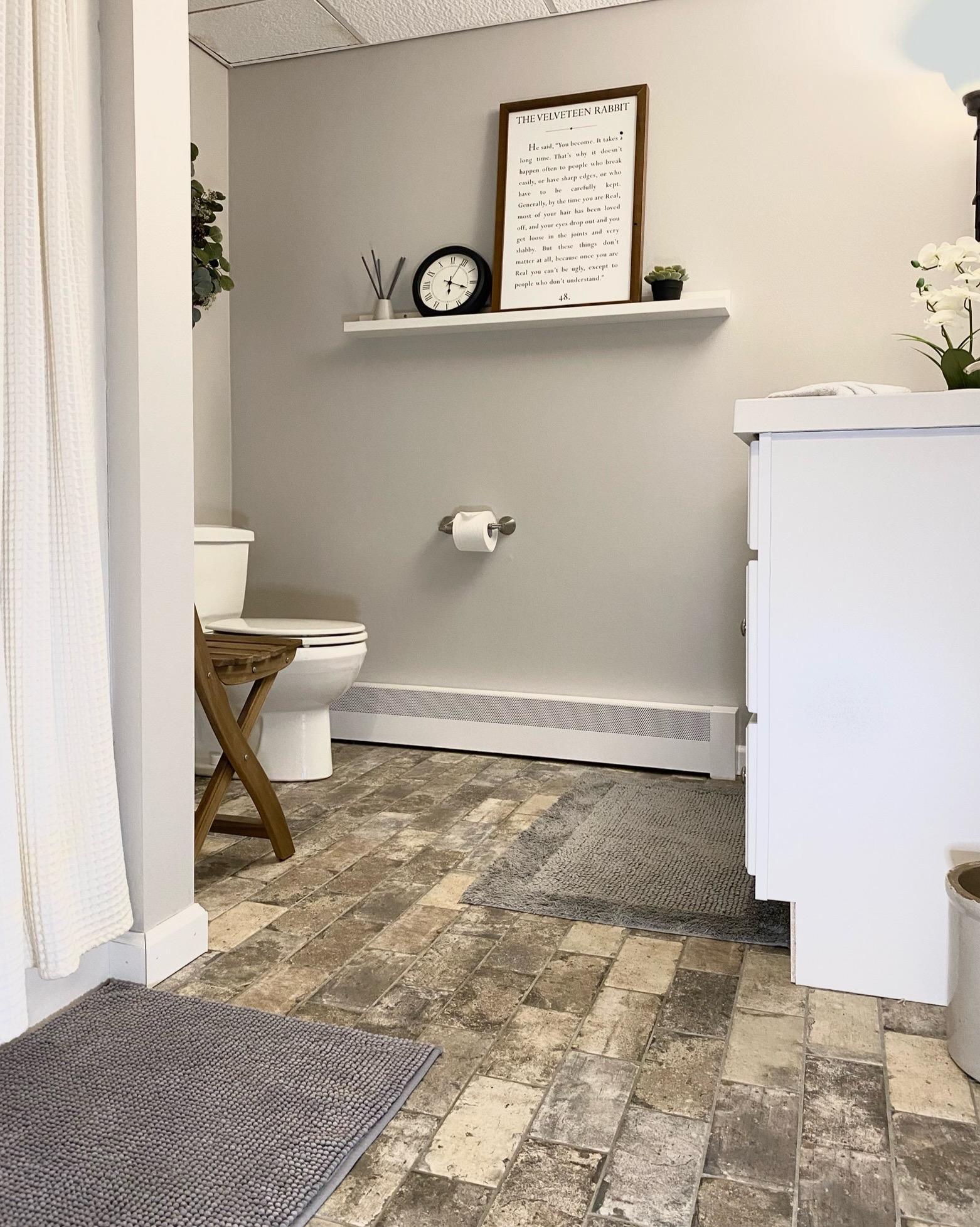 Lower level full bathroom